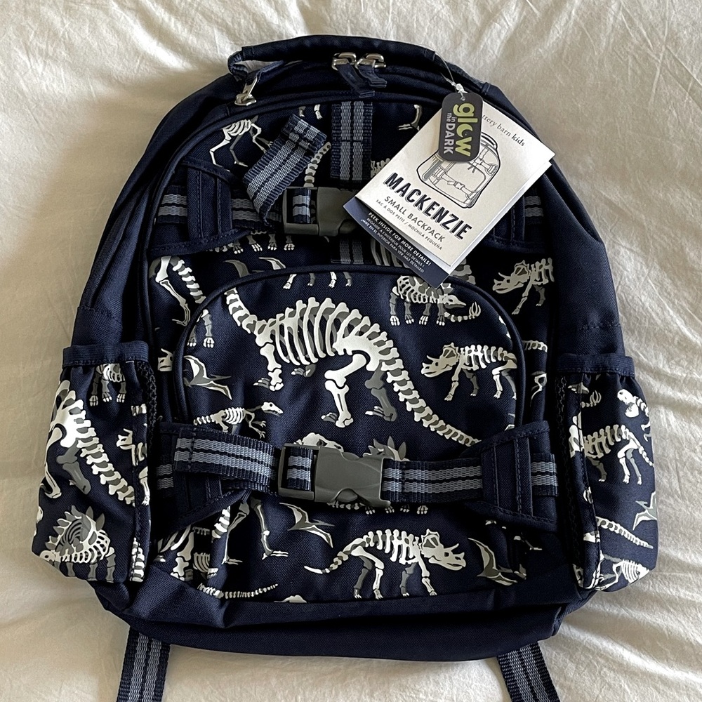 NWT Mackenzie Blue/Gray Glow-In-TheDark Dinos …